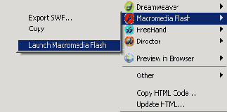 Создание Web-страниц с помощью Flash