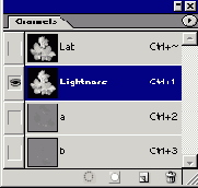  Lightness     ,    