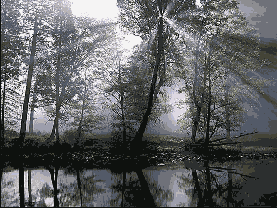 Выберите команду Filter > Blur (Размывка) > Gaussian Blur (Гауссова размывка)