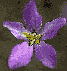 Выберите команду Filter > Stylize (Стилизовать) > Diffuse (Рассеивать)