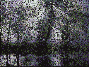 Выберите команду Filter > Distort (Искажать) > Glass