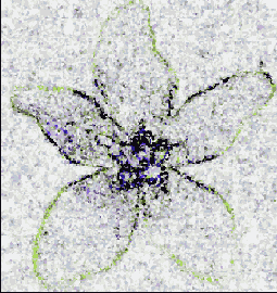 Выберите команду Filter > Pixelate (Пикселыровать) > Crystallize
