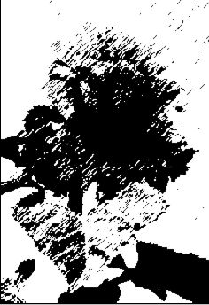 Выберите команду Filter > Artistic > Palette Knife