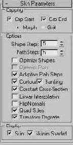  Skin Parameters ( )